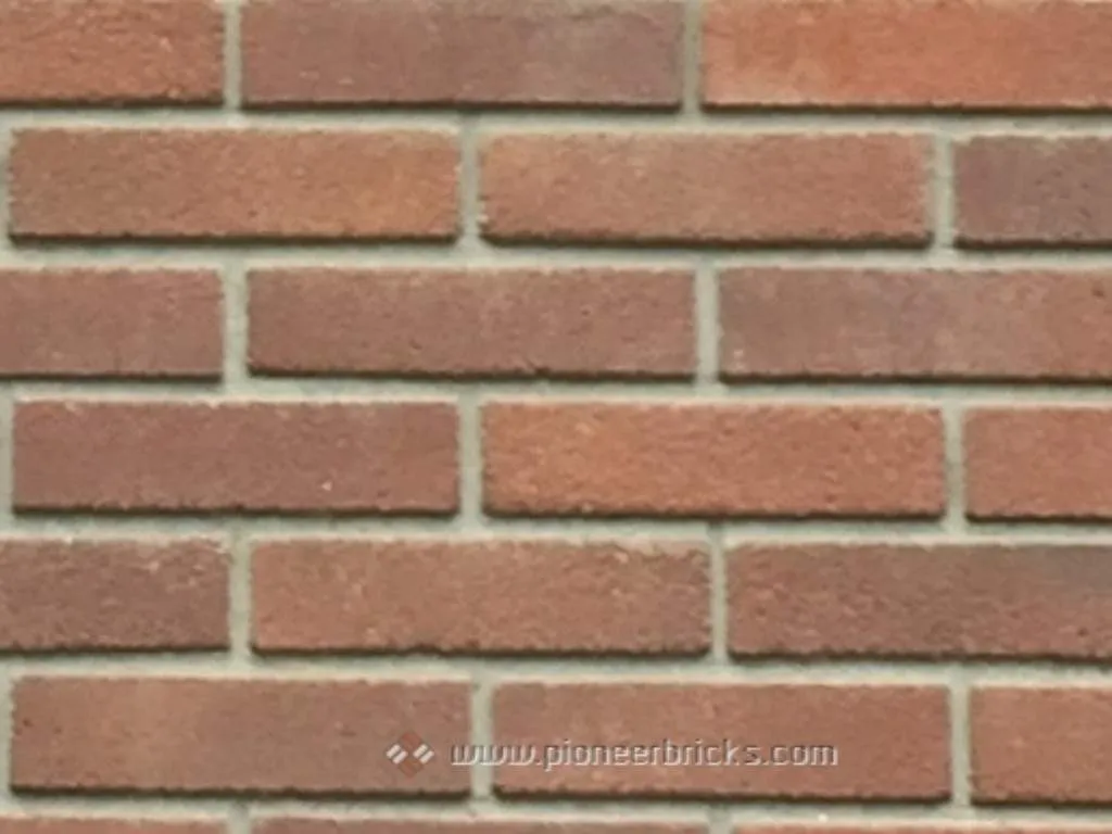 Royal Bell – [Terracotta Textured]