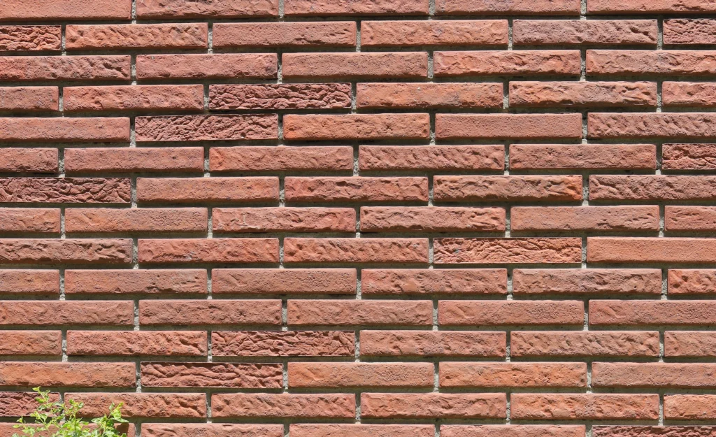 Splendor- [Terracotta-Special-Textured]