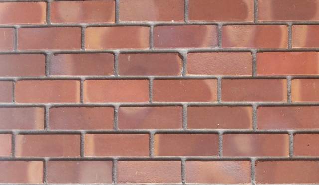 Royal Bell Brick Tiles For Interior Walls India Pioneer Bricks