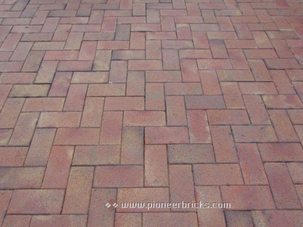 Pioneer floor tiles: Paver series in country-cream