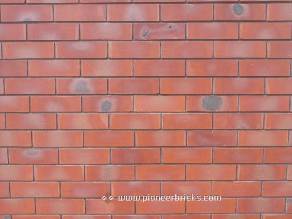 Red Oak: cladding bricks in natural Terracotta-Antique shades