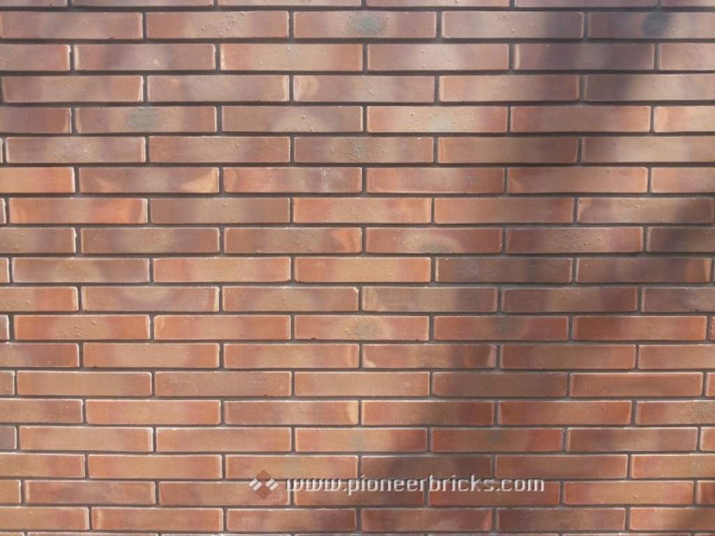 Pioneer brick tiles for wall: Sleek series in brown-black-antique