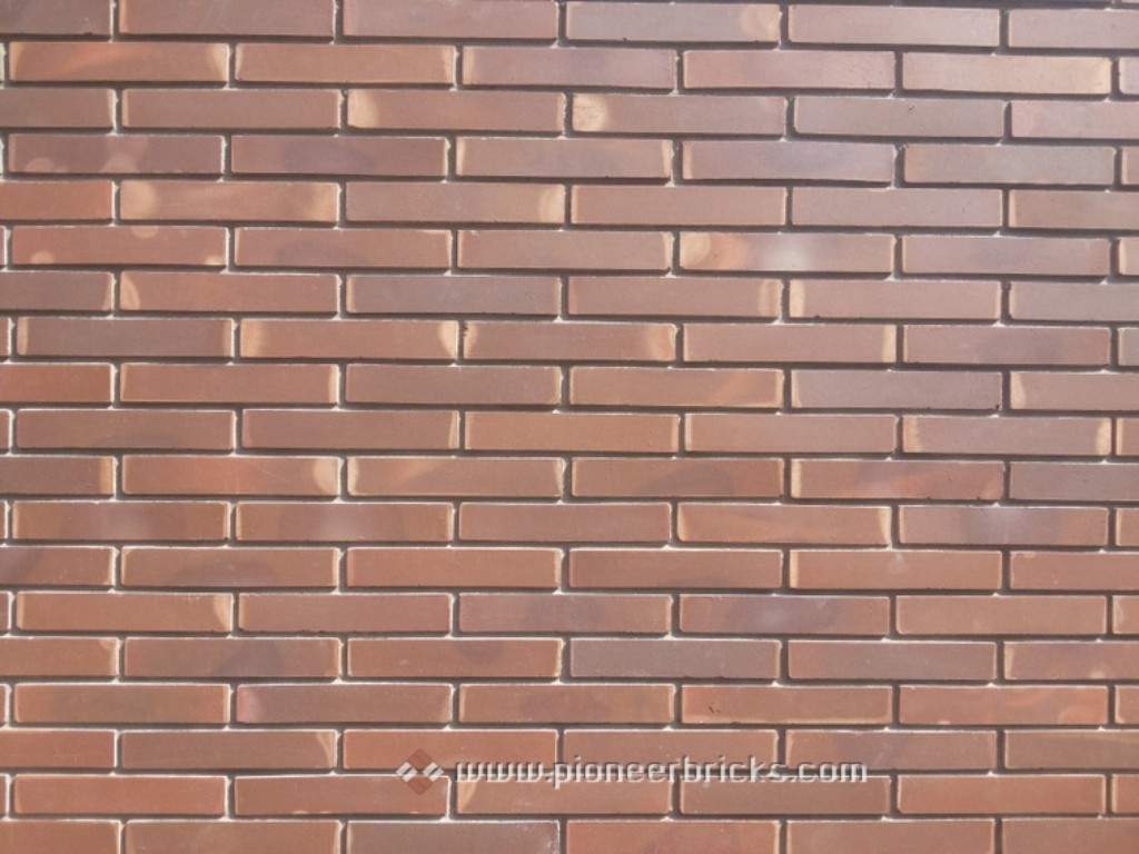 Sleek: cladding bricks in natural Brown/Black shades