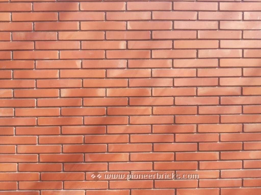 Sleek: cladding bricks in natural Terracotta shades