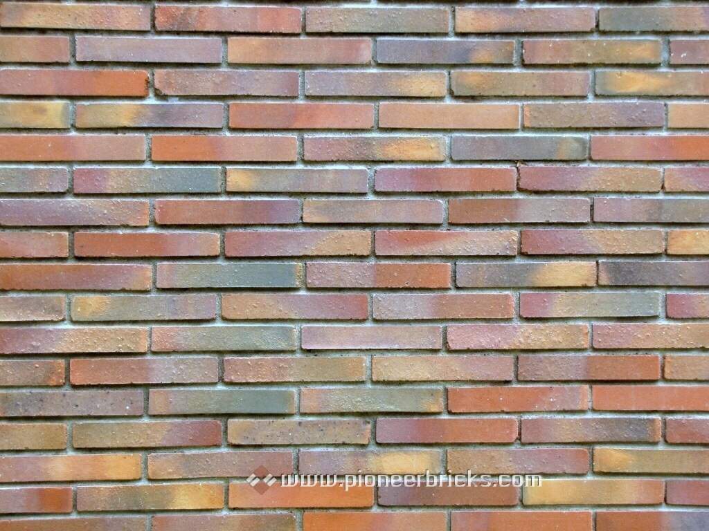 Pioneer clay bricks: Sleek series in textured