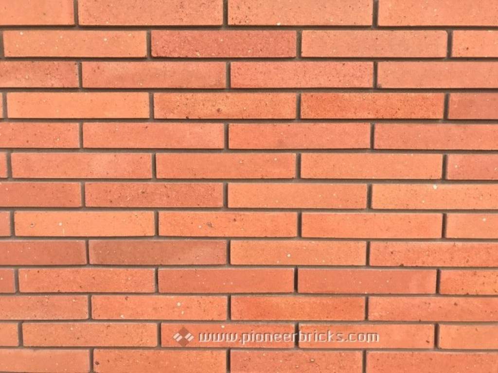 Pioneer Bricks: cladding bricks in natural Country-Cream shades