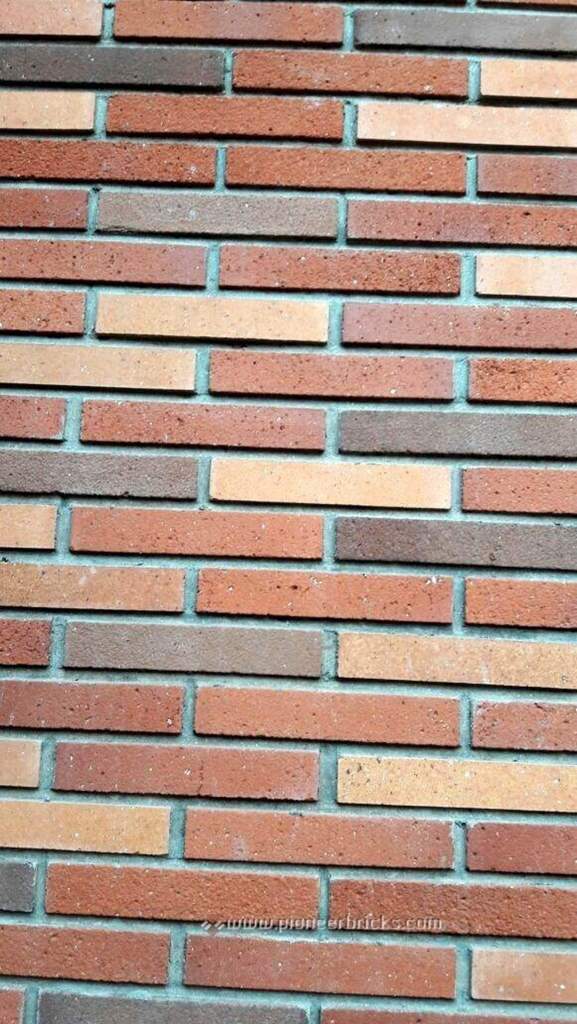 Pioneer clay bricks | Splendor | Size: 230 x 40 x 20mm | Color: Country-Cream