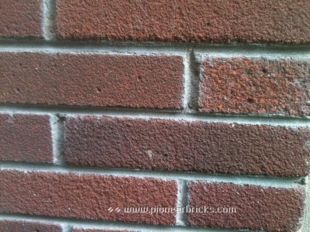 Pioneer Bricks: cladding bricks in natural Textured shades